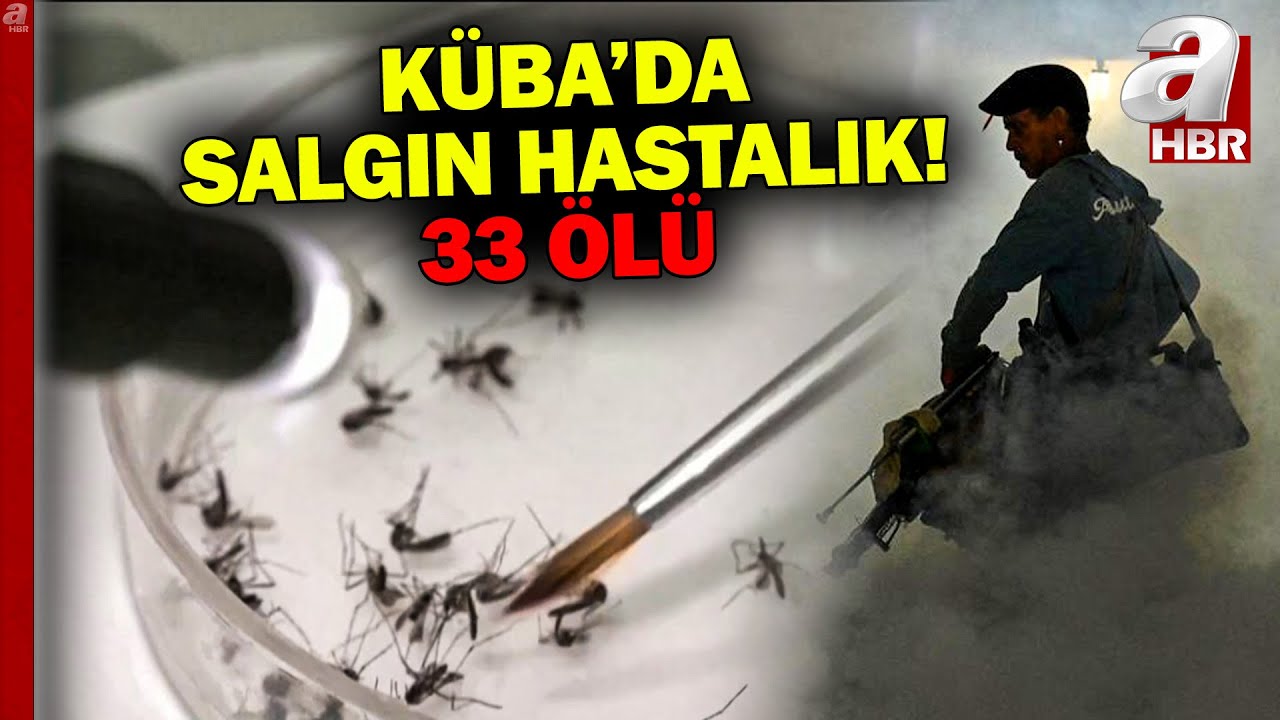 Küba'da salgın hastalık 33 can aldı! Salgın büyüyor mu? | A Haber