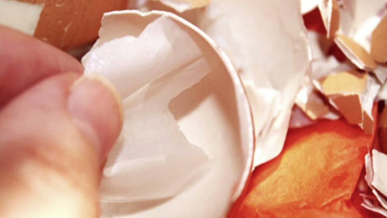 Doğal Yumurta Kabuğu Zarı Nasıl Tüketilmeli ? Yararları Neler ? Nasıl Kullanılır ?