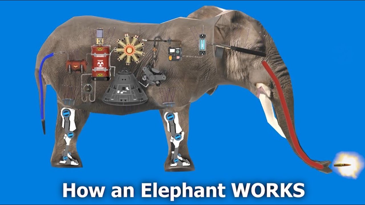 How an Elephant Works