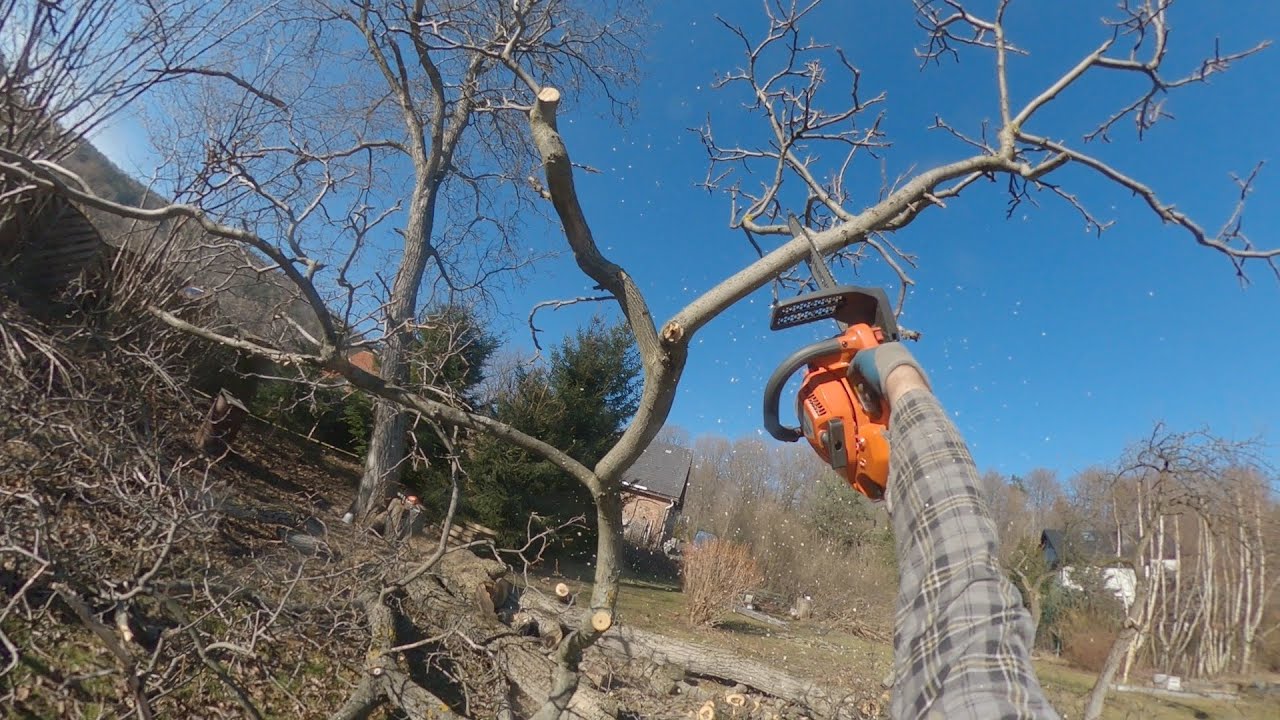 Sawing The Fallen Tree Into Bricks - Husqvarna T435 - Stihl MS 251