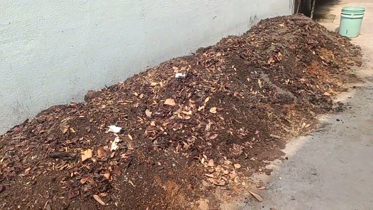 Cách trộn giá thể trồng cây trên mái nhà