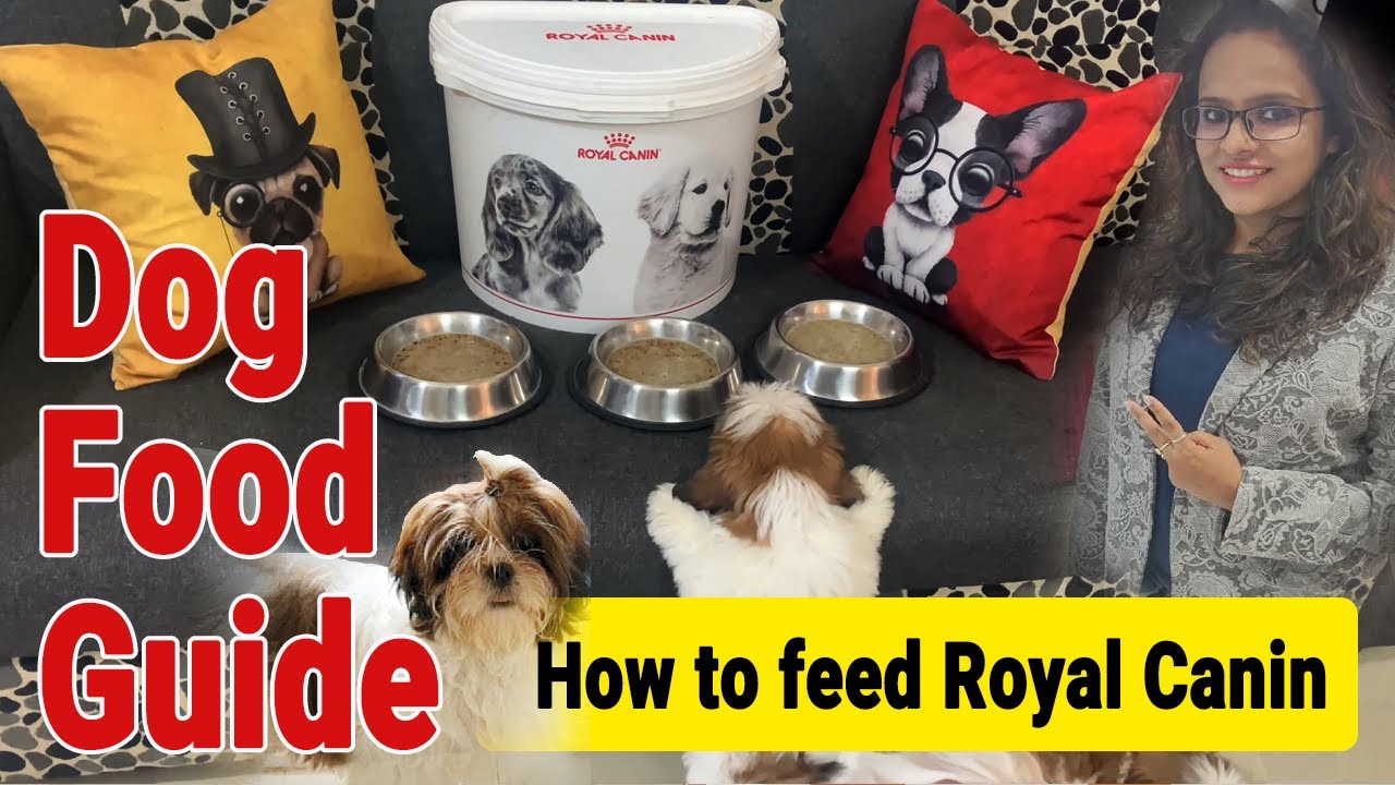How to Feed Royal Canin Dog Food, When to Start Royal Canin to puppies, Dog food guide, #shihtzu