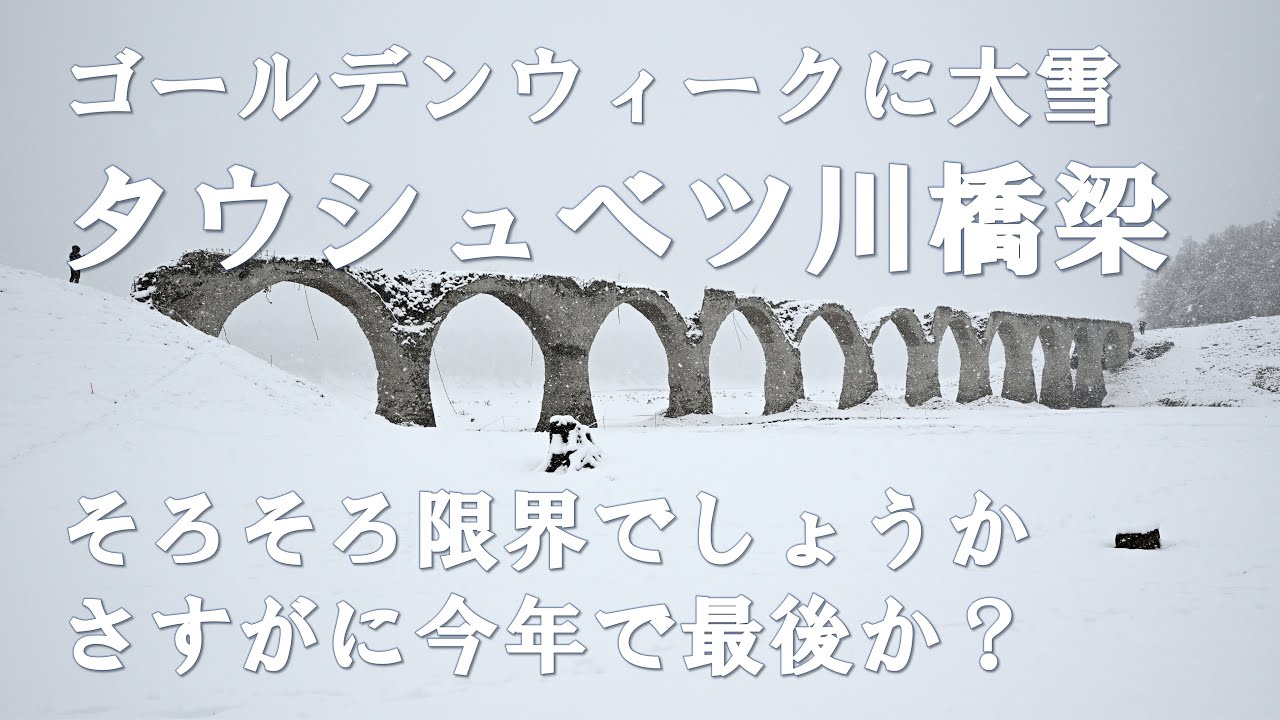 【廃線跡】さすがにもう限界でしょうか…タウシュベツ川橋梁（国鉄士幌線 旧線廃橋梁）2025年4月訪問