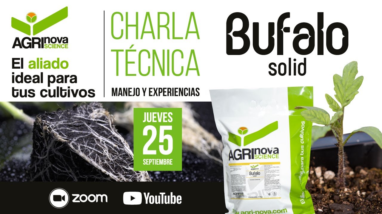 Bufalo solid, manejo y experiencias de éxito