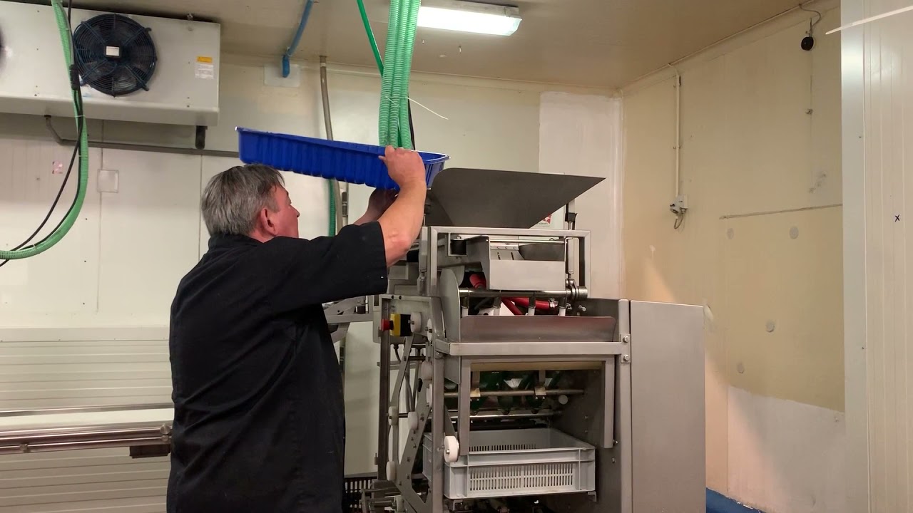 Shrimp peeling machine at Brevisco in Oostende