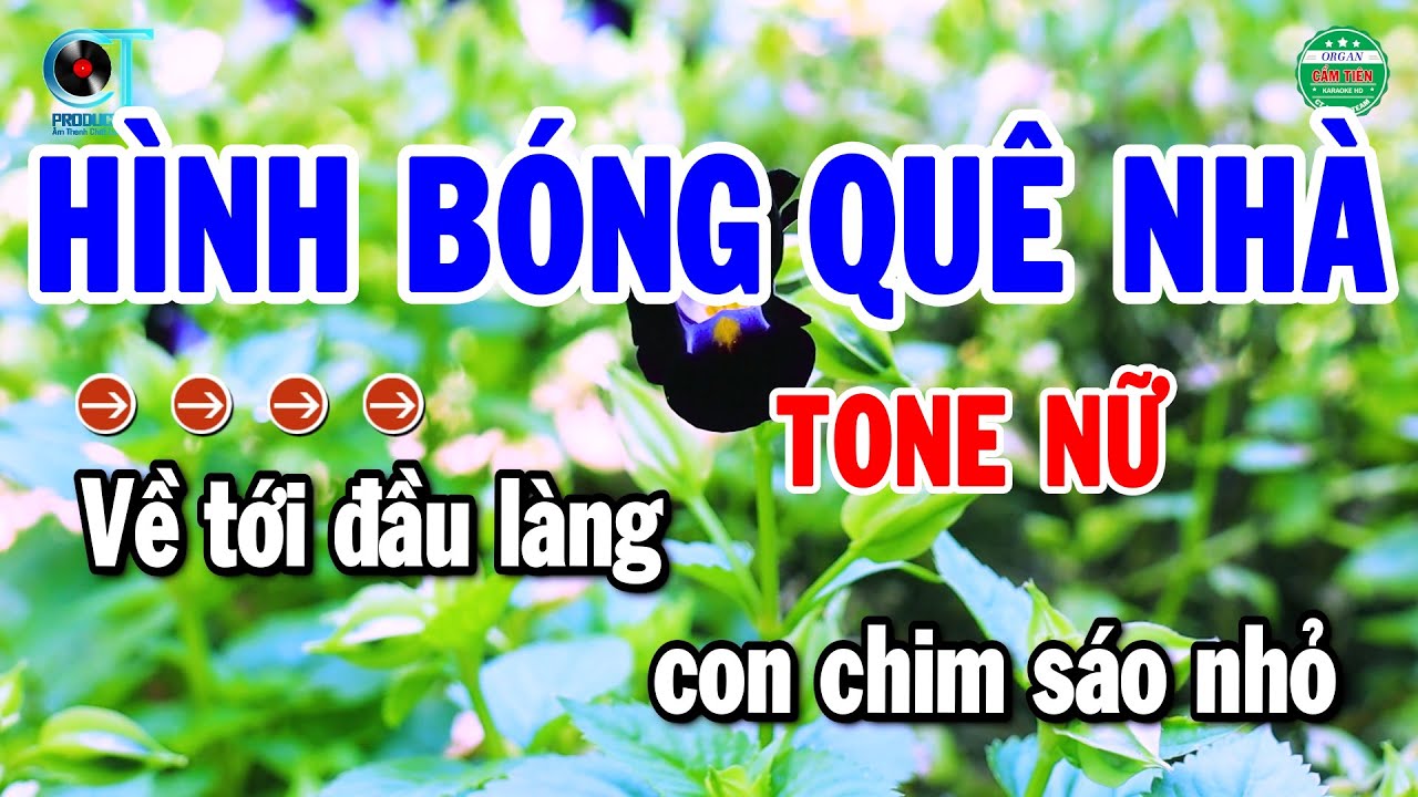 Karaoke Hình Bóng Quê Nhà Tone Nữ Nhạc Sống Cha Cha Beat Chuẩn | Cẩm Tiên Organ