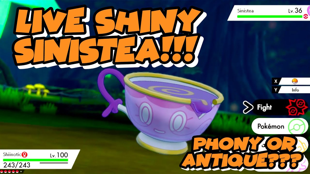 Shiny Sinistea First Phase in Glimwood Tangle!! Is it Antique?!?! | Shiny Authentic Sinistea Quest