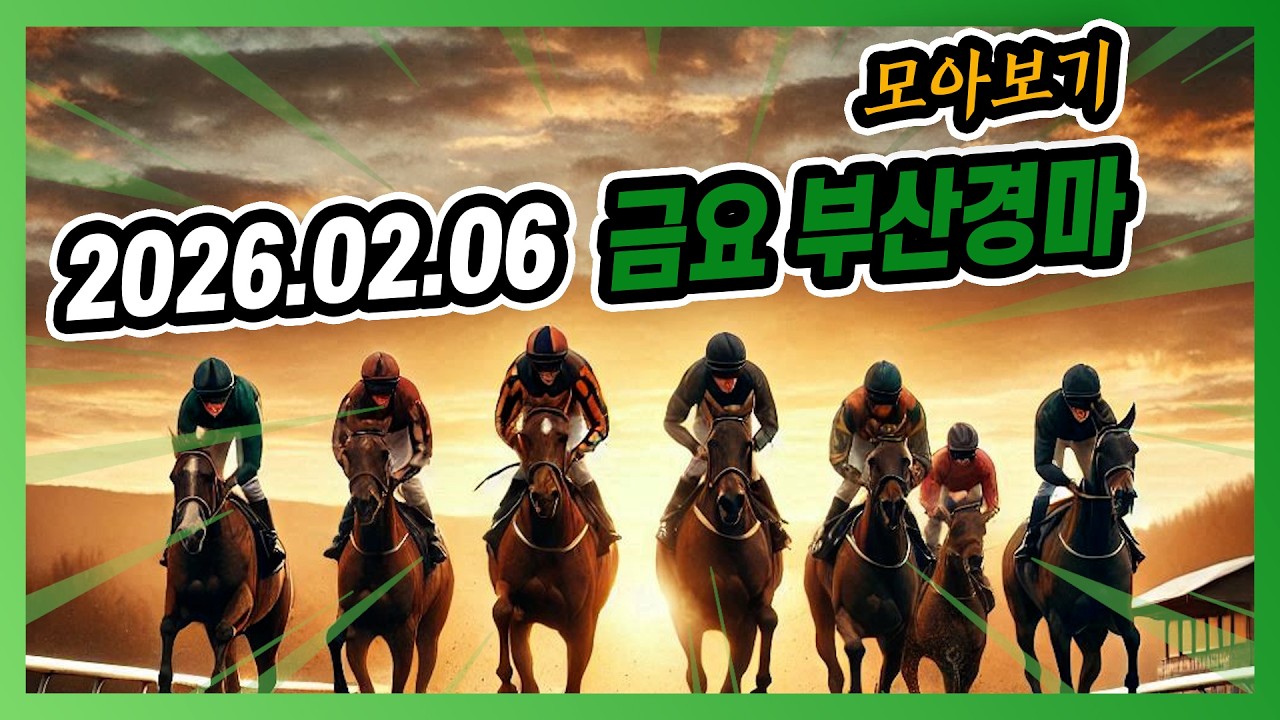 2026년 2월 6일 금요 부산경마 전체경주 모아보기