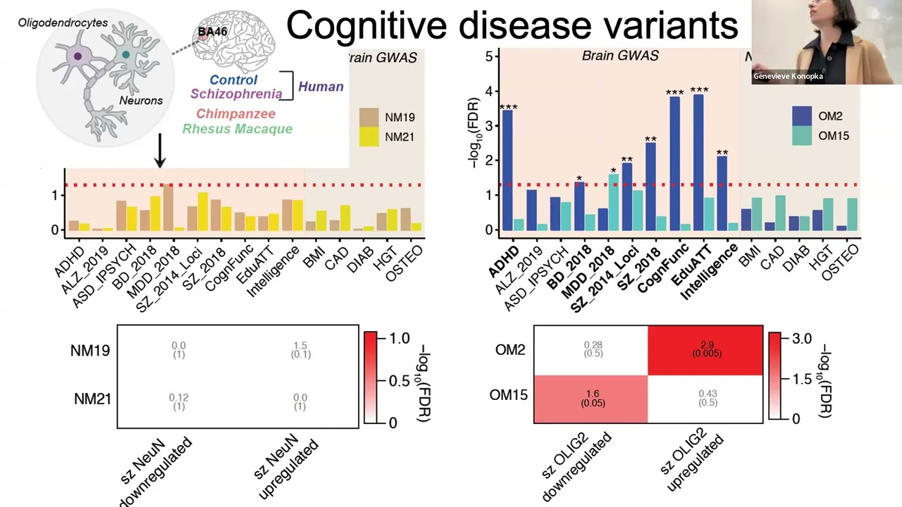 Dr. Genevieve Konopka, Professor & Chair, Department of Neurobiology, UCLA School of Medicine
