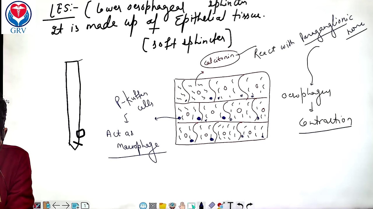 HSSC/DMER TARGET BATCH GI SYSTEM INTRODUCTION WITH ORAL CAVITY