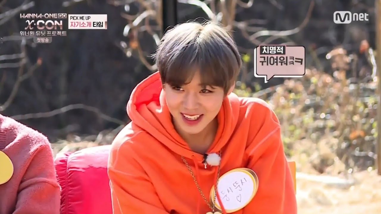 워너원고 엑스콘 1화 박지훈 cut 