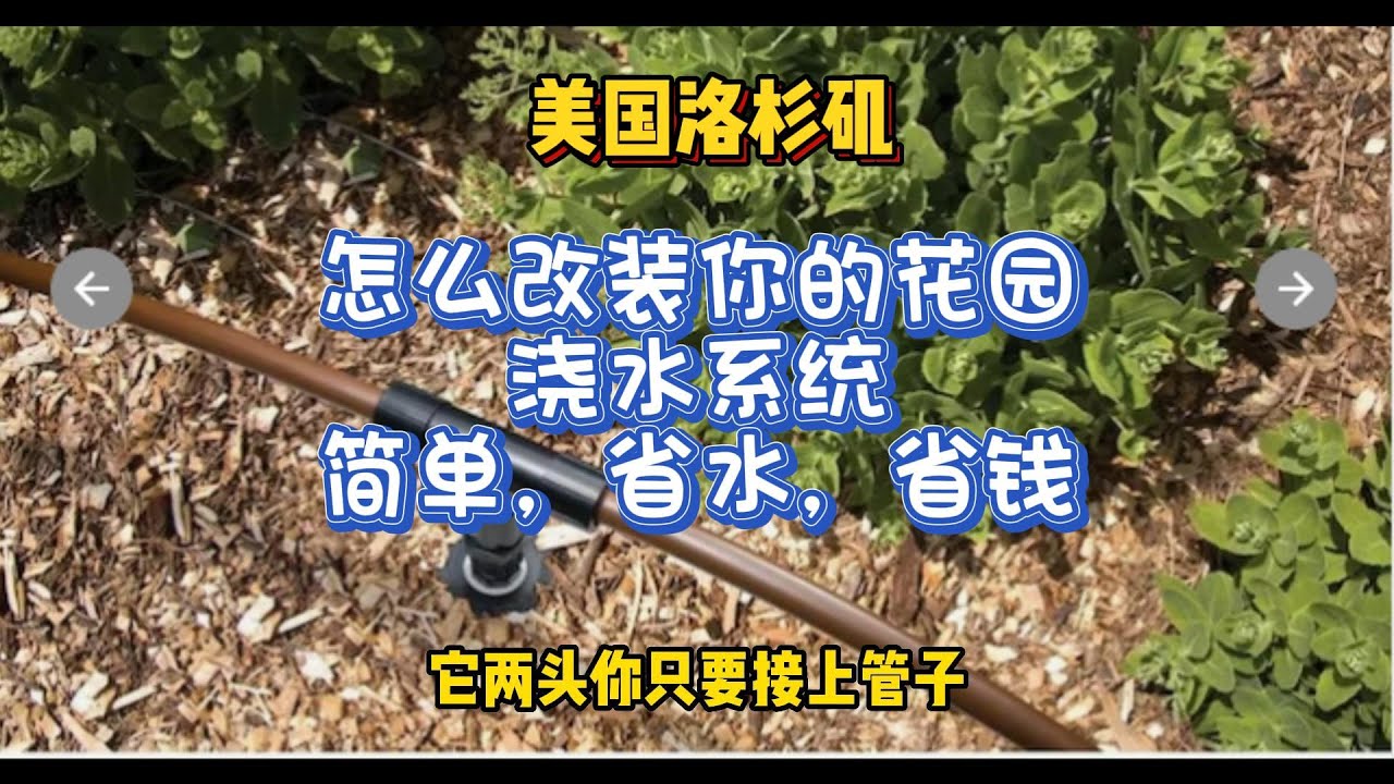 （浇水系统）怎么改装你的花园浇水系统，简单，省水，省钱 - 【lisavlog 游子记】