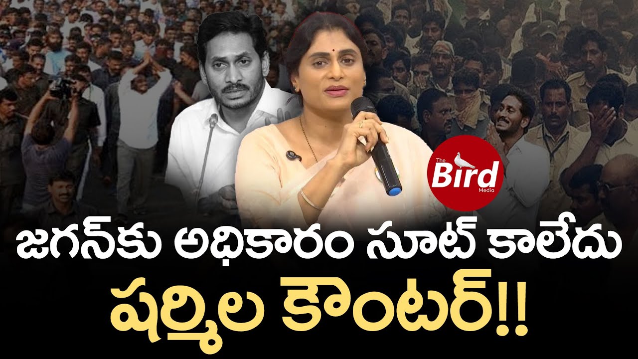 జగన్‌కు అధికారం సూట్ కాలేదు..షర్మిల కౌంటర్!! | YS Sharmila Strong Counter To YS Jagan | Bird Media |