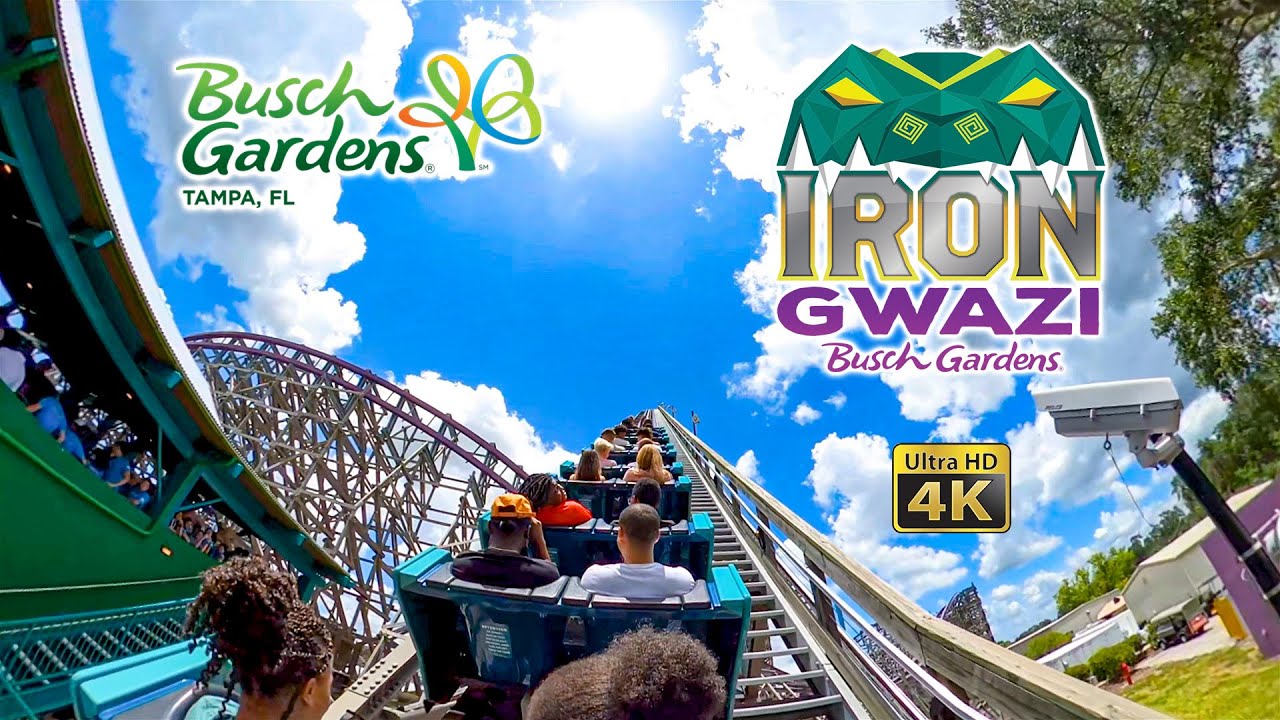 Iron Gwazi Roller Coaster Back Seat On Ride 4K POV Busch Gardens Tampa 2022 07 07