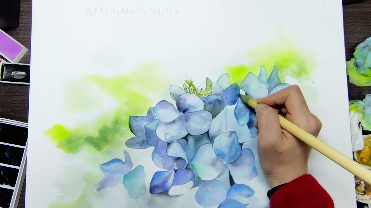 【メイキング動画】紫陽花と蟷螂/ [Painting Process] A praying mantis on hydrangea flowers