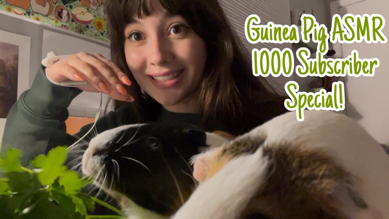 My Guinea Pigs make ASMR for my 1k Subscribers!!! 🥳😛🐽🌿