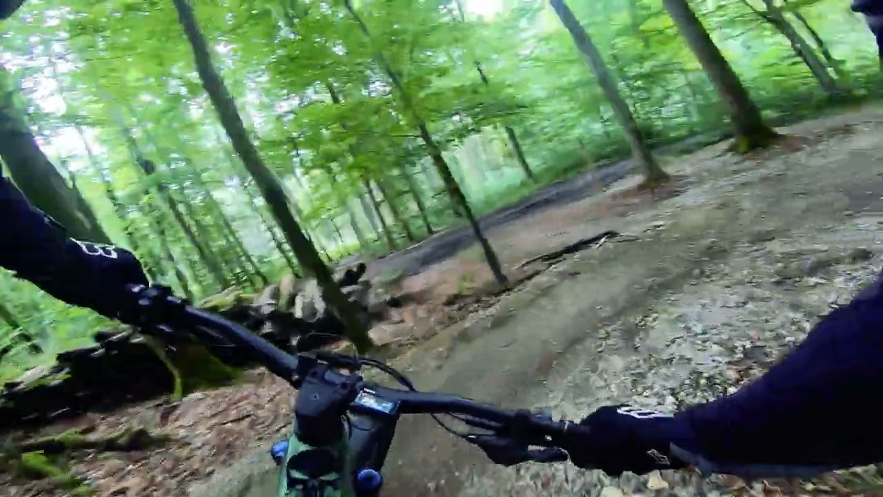 Würmtal Trails (Gauting) 2025 legal