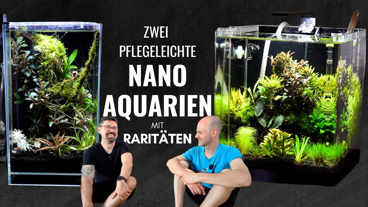 Unglaubliche Nanoaquarien: Seltene Pflanzen, mühelose Pflege und eine außergewöhnliche Form!