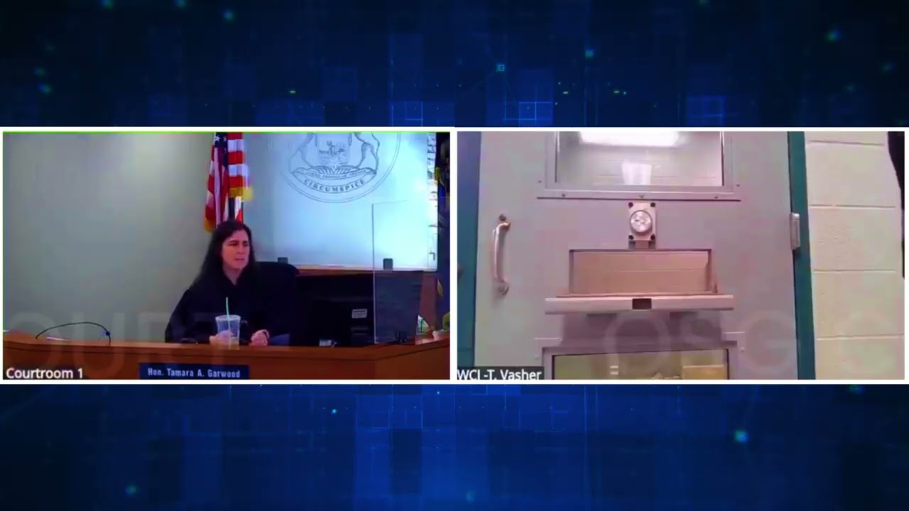 HE'S BACK! Sovereign Citizen Can't Stay Out Of Jail!!! WCJ-T. Vasher Is Back In Court!!!