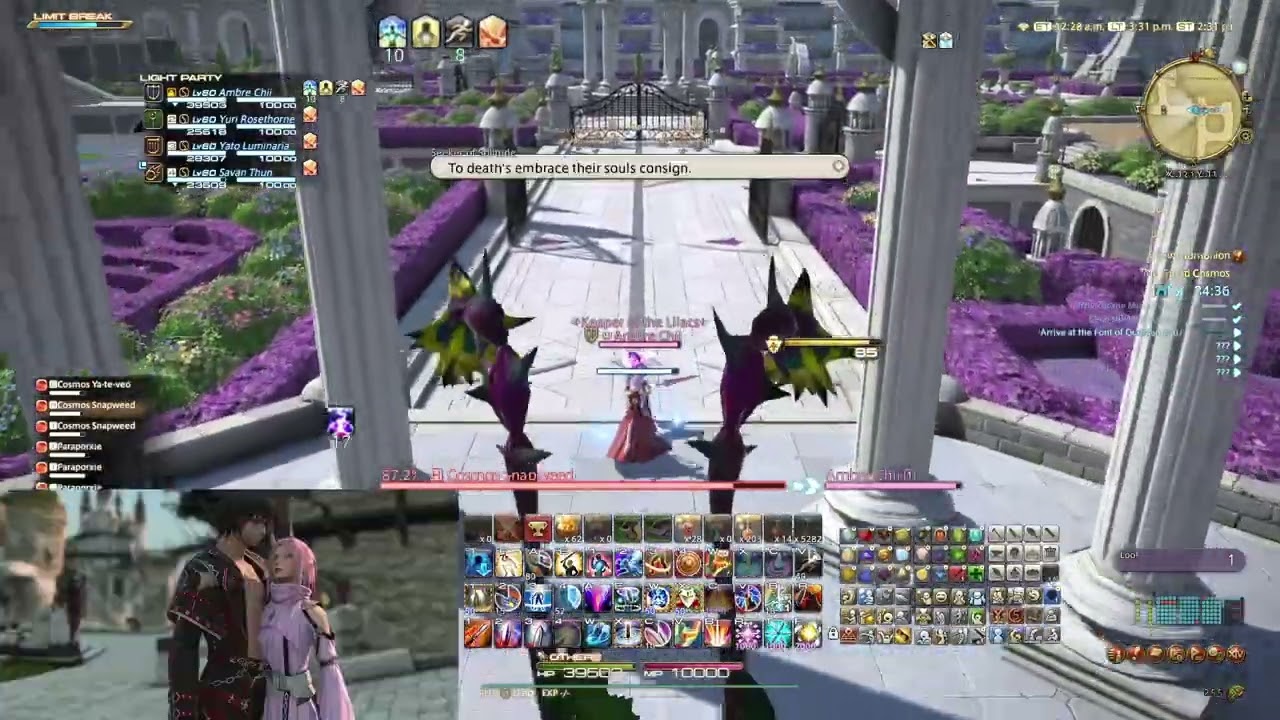 The Grand Cosmos Pld pov