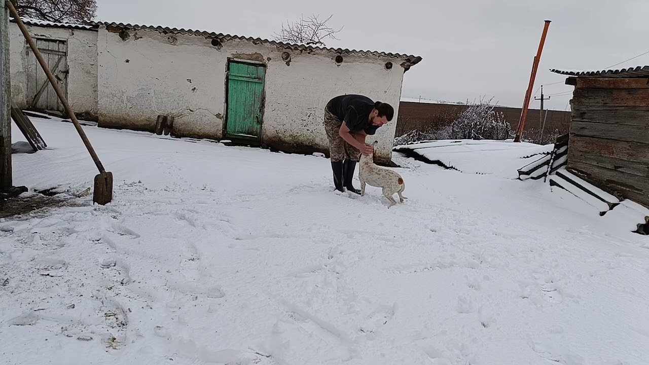 Real life on farm.  First snow.  My cellar with fruit and vegetables in winter.  Best Way to Store.