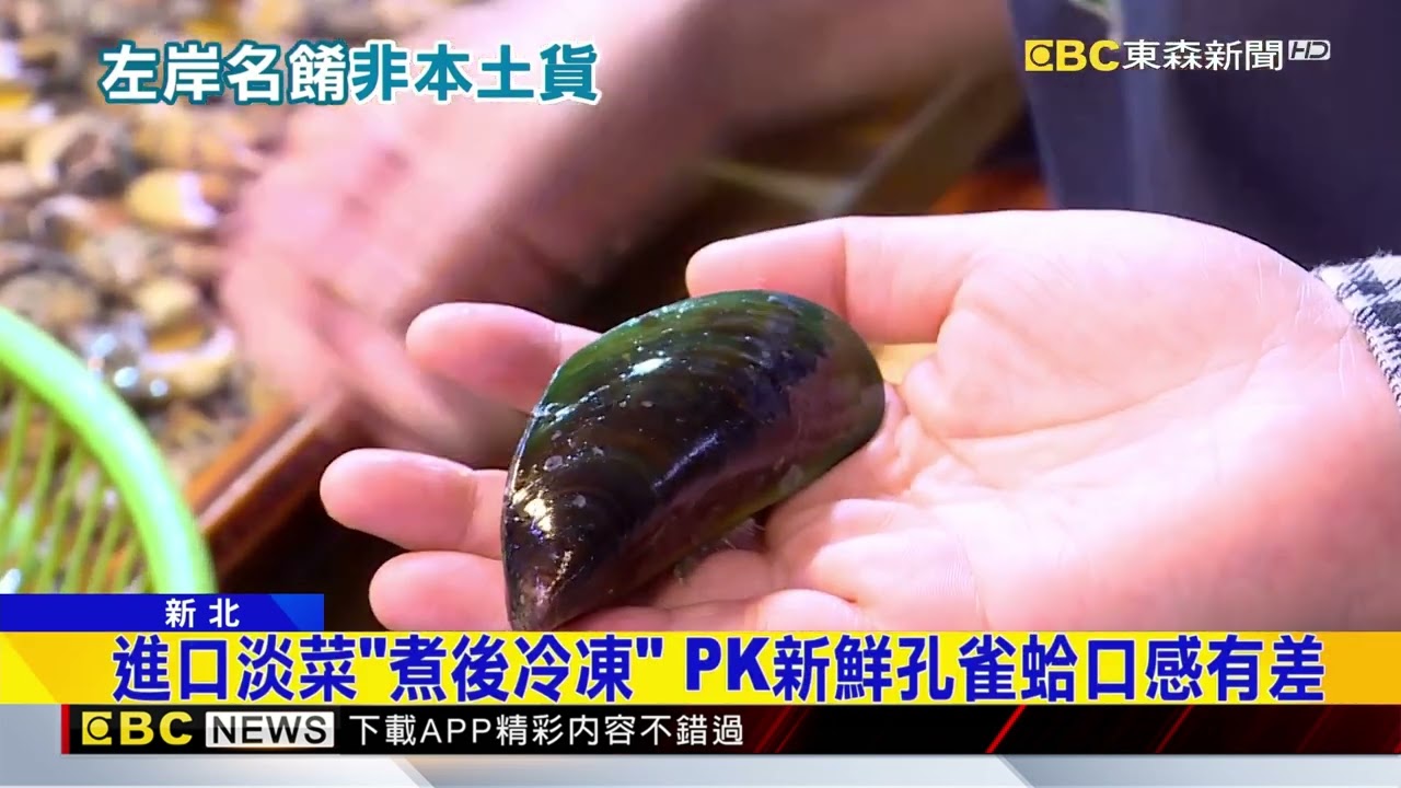 八里「孔雀蛤」消失？ 老店改「紐西蘭淡菜」@newsebc