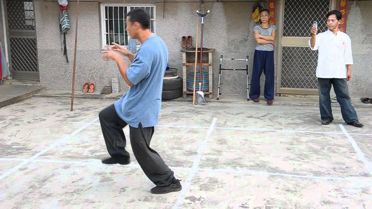 Tang Lang demo of Yao Shixiong - 2010 - Taiwan - 秘門螳螂攔截拳