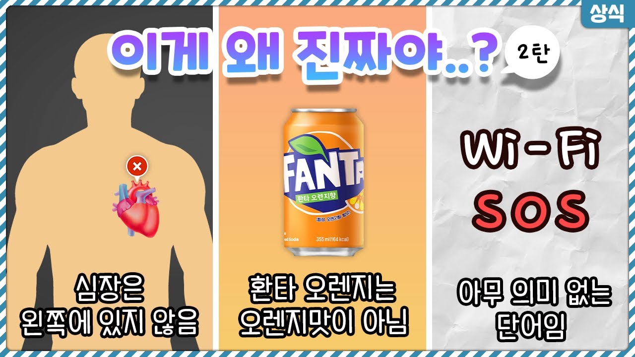 이왜진..? 기존에 알고있던 상식을 완전히 깨버리는 뜻밖의 사실들 2탄