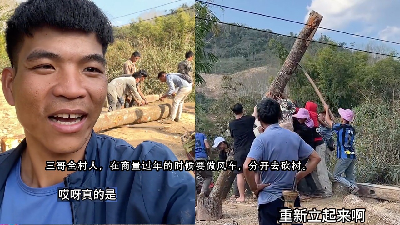 三哥邀全村人，去山里分开砍树，商量过年的时候要做风车。