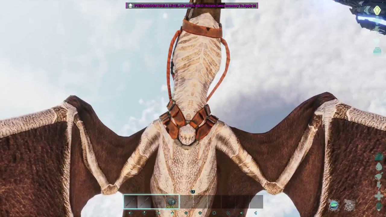 Ark with friends