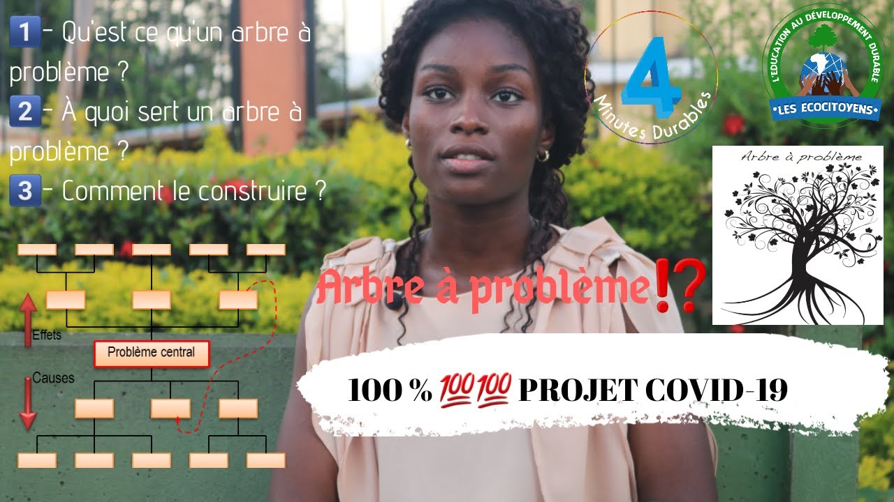 100% PROJET : Comment construire l'arbre à problème dans le cadre d'un projet de développement ?