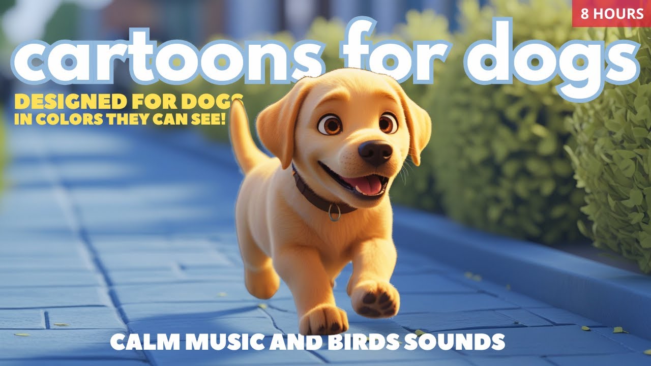 Bluey: Anti Anxiety TV for Dogs to watch! 8-Hour of Cartoons for Dogs in Colors they can see