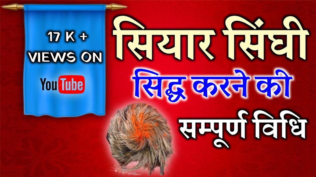 SiyaarSinghiSidhaKarnekiVidhi #सियार सिंघी सिद्ध करने की विधि ।