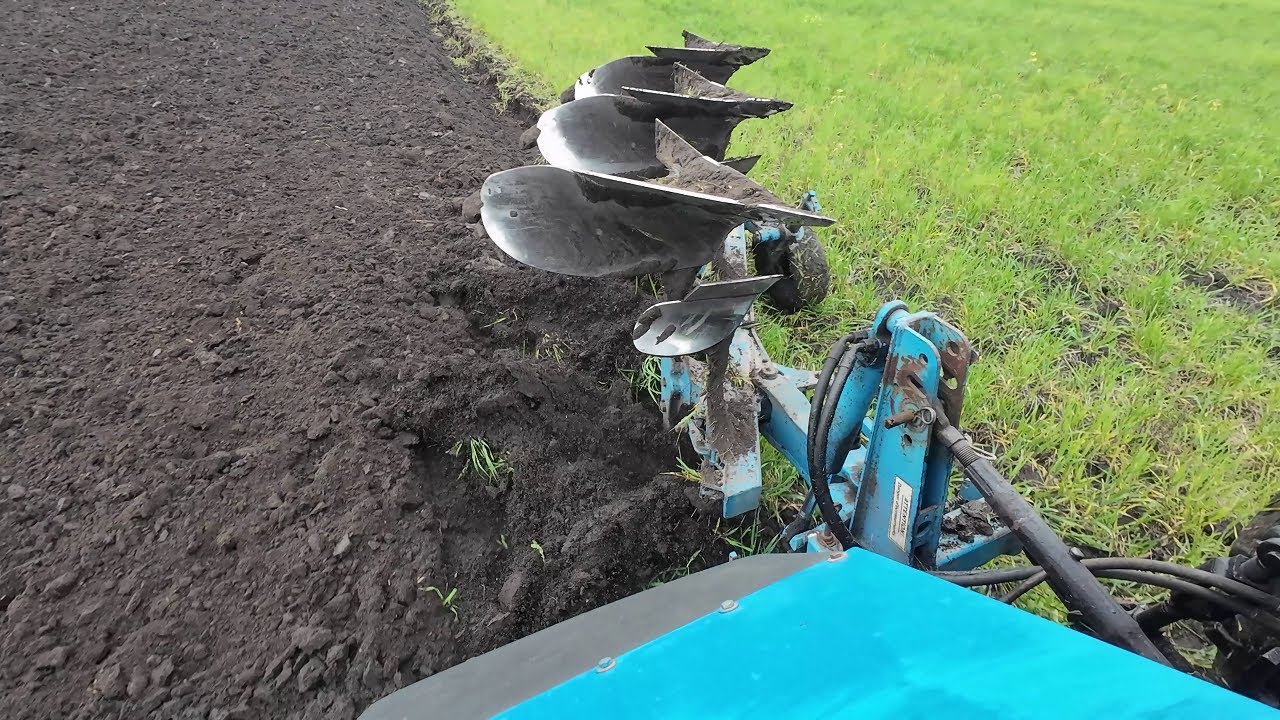 Оранка ячменю. Плугом Lemken з Мтз 1025.2