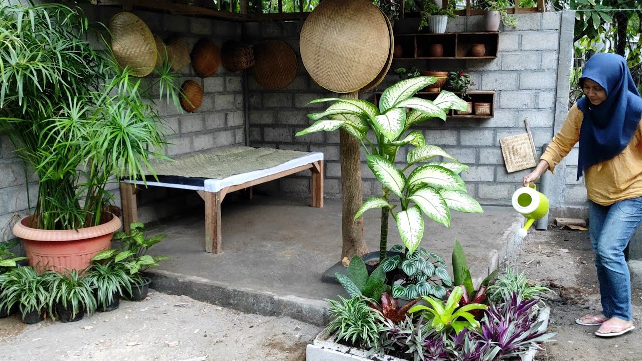 Membuat Taman Sederhana Dan Dapur Terbuka Ala Pedesaan
