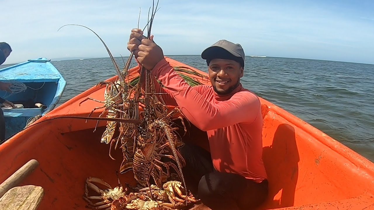 Pesca del cangrejo rey la CENTOLLAS y langosta 🇩🇴 king crab fishing lobsters