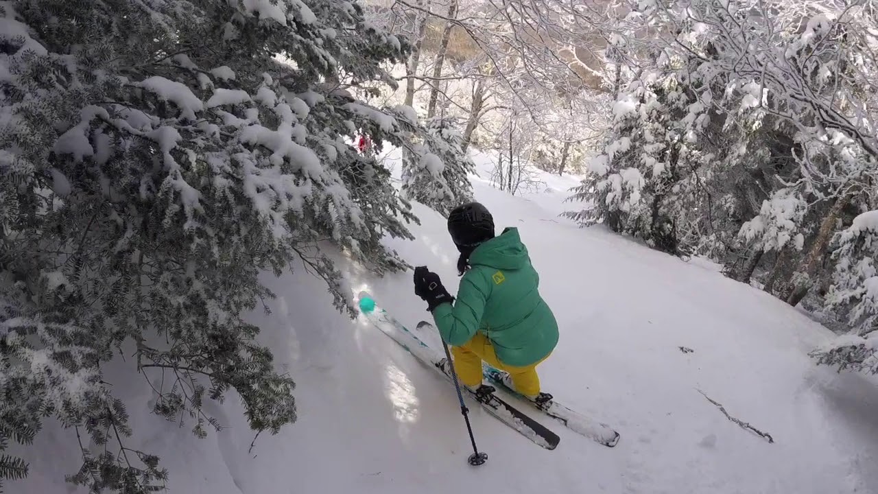 Sugarbush: Paradise Chutes + Guide