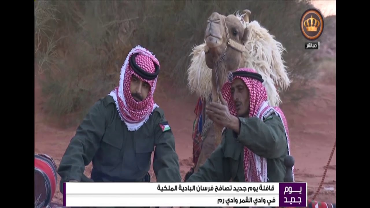 يوم جديد  مباشر  وادي رم