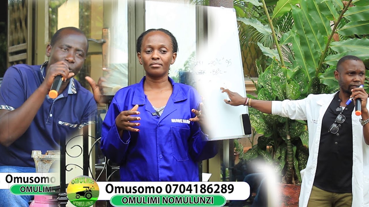 Omusomo gwabalimi nabalunzi ne mukyaala nuuwe