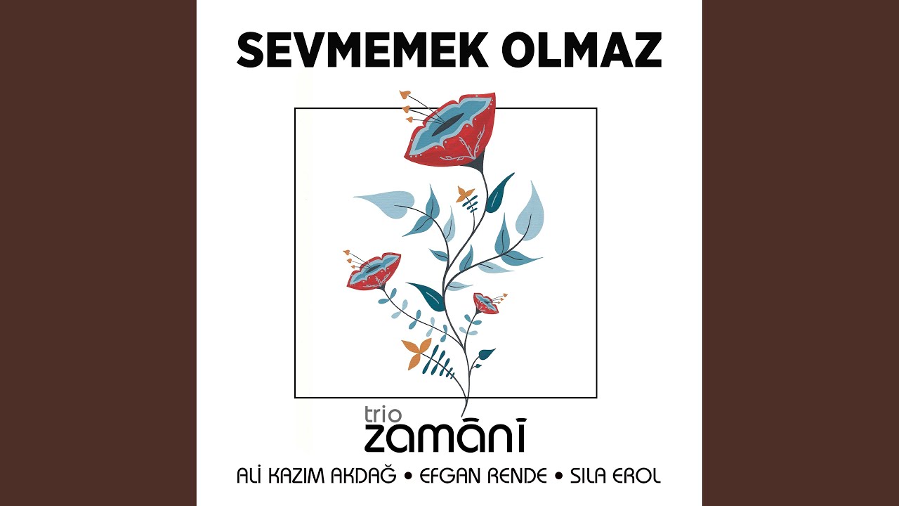 Sevmemek Olmaz (Qızlar Mahnısı)