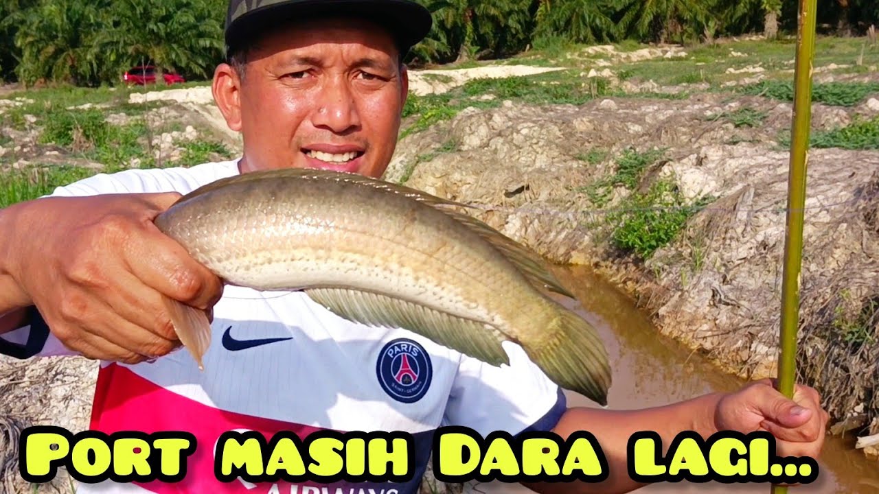 Tahan Tajur Dan Memukat Di Lubuk Dara 