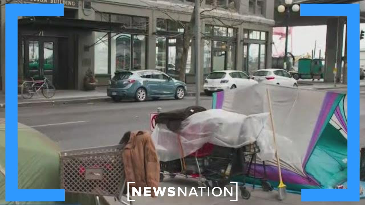Are emergency declarations the answer to homelessness? | Elizabeth Vargas Reports