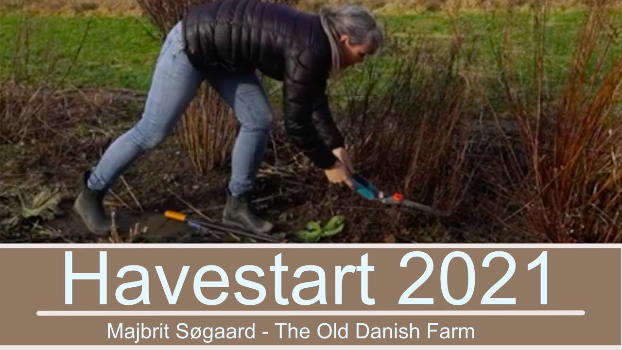 Havestart 2021