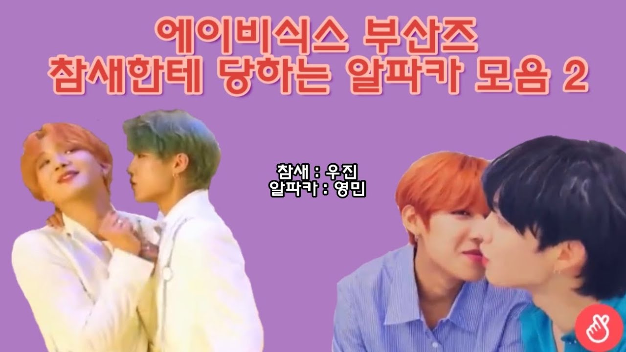 [AB6IX 임영민 박우진] 맨날 참새한테 당하는 알파카 모음 2