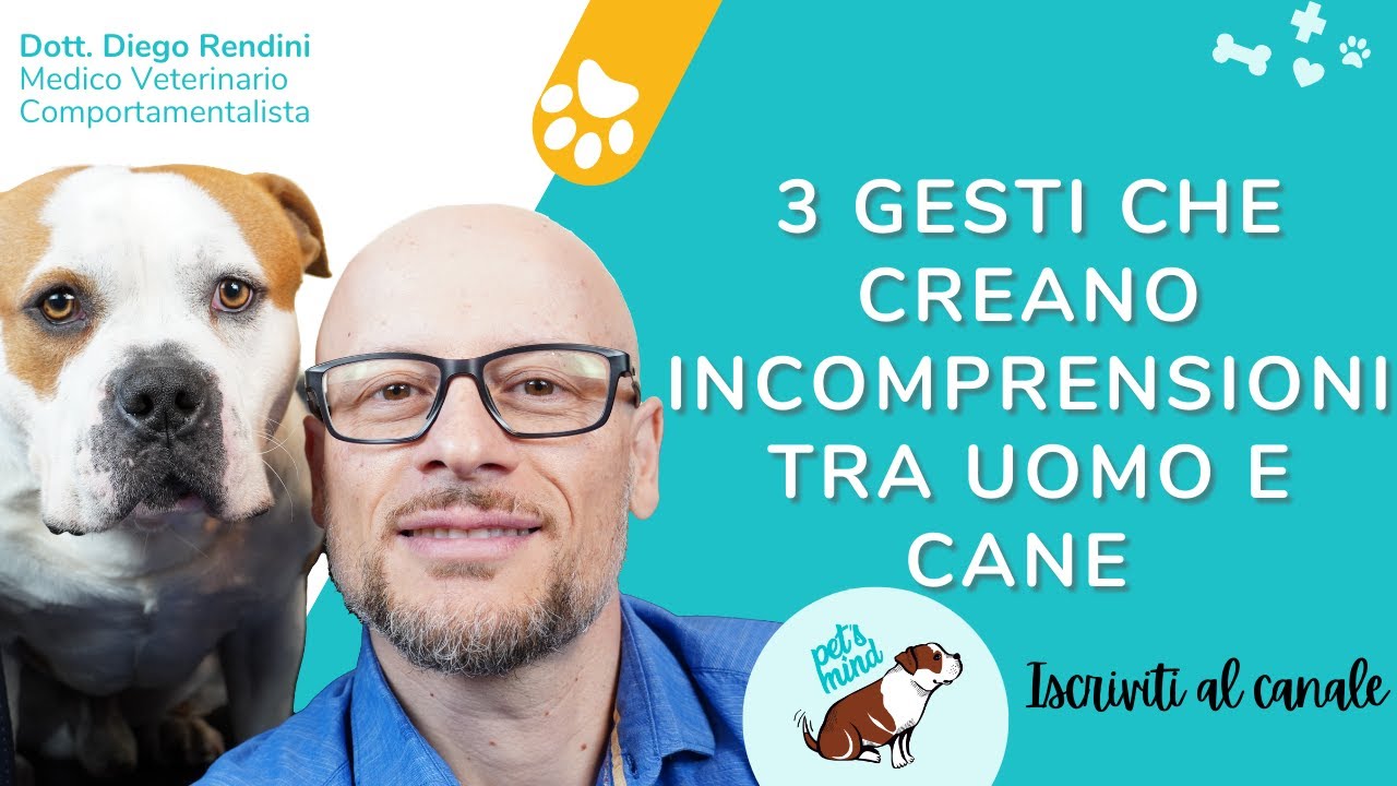 3 gesti che creano incomprensioni tra uomo e cane