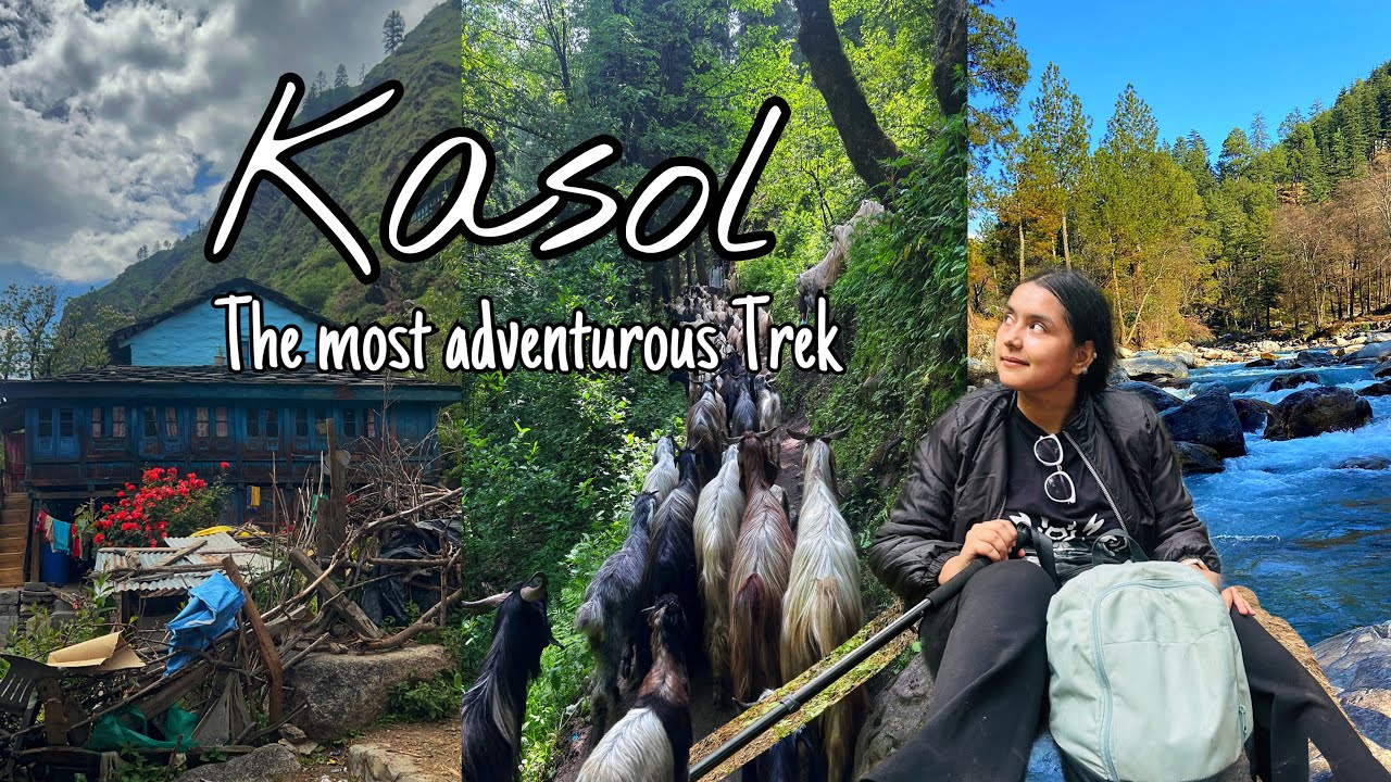 I went on a solo Trip to Kasol | Kheerganga Trek