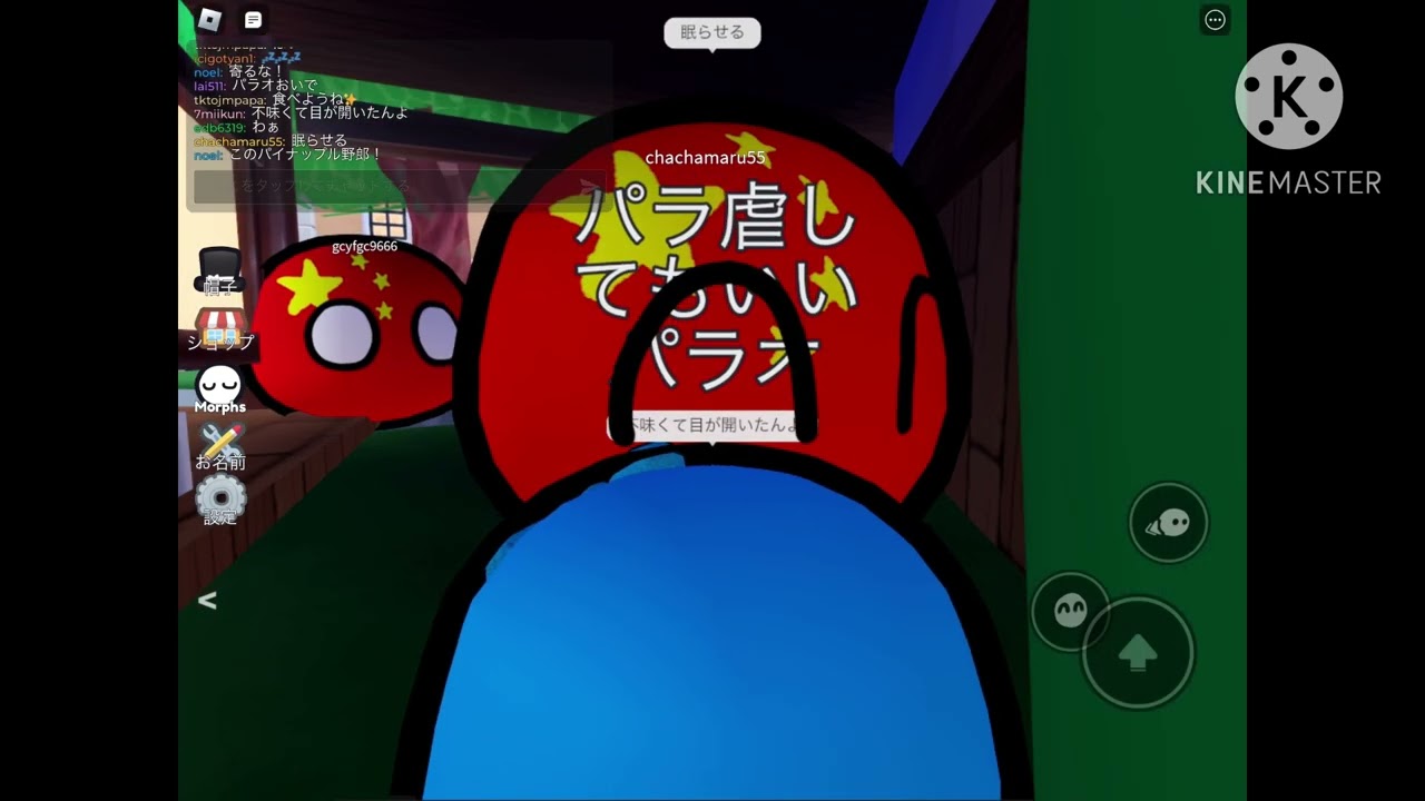 音声ありパラオ誘拐