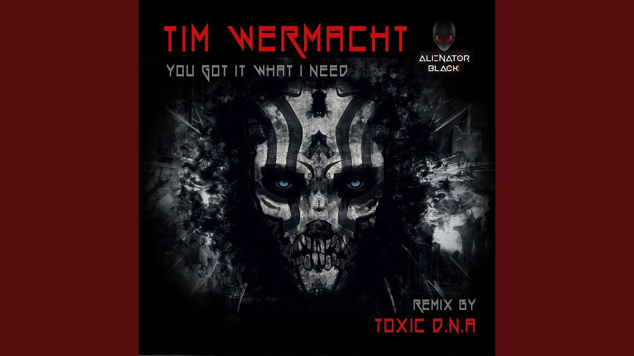 You Got It What I Need (Original Mix)
