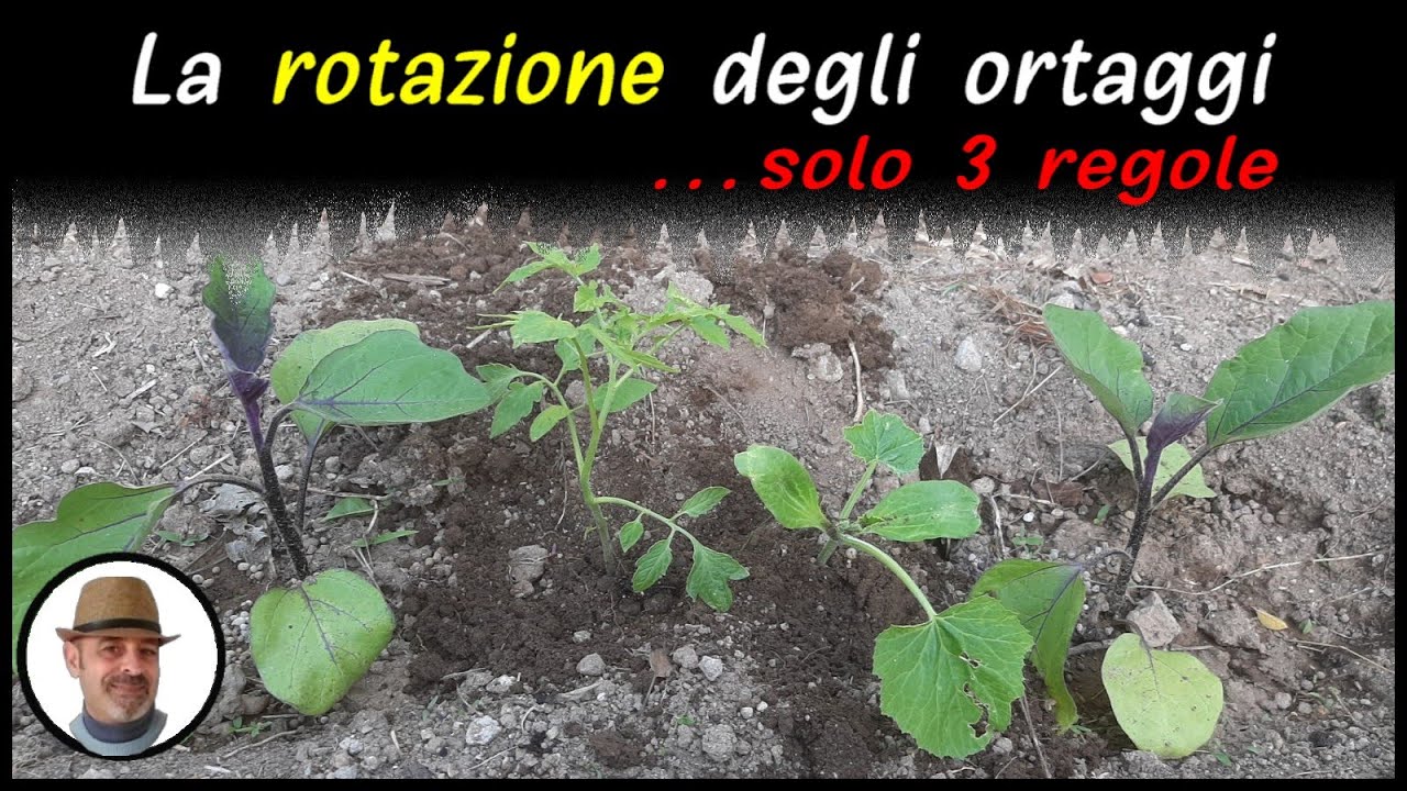 ROTAZIONE DEGLI ORTAGGI, solo 3 regole