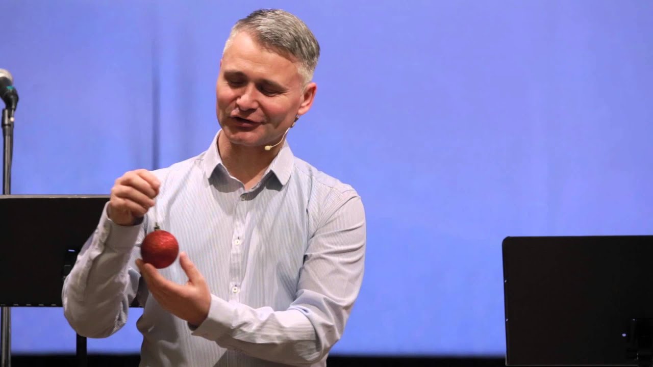 Bombka/k5n/21 12 2014/Dariusz Cieślak